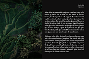 CF Gahmful - Elegant Handwritten, a Handwritten Font by Indotype Foundry (Thumbnail 6 of 10)