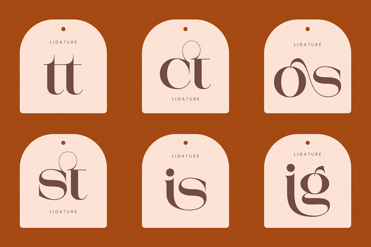 Mestro Serif || Modern Ligature, a Serif Font by ToniStudio (Photo 8 of 10)