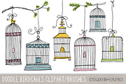 Doodle Birdcages Clipart & Brushes, an Illustration by Colors on Paper (Thumbnail 1 of 3)