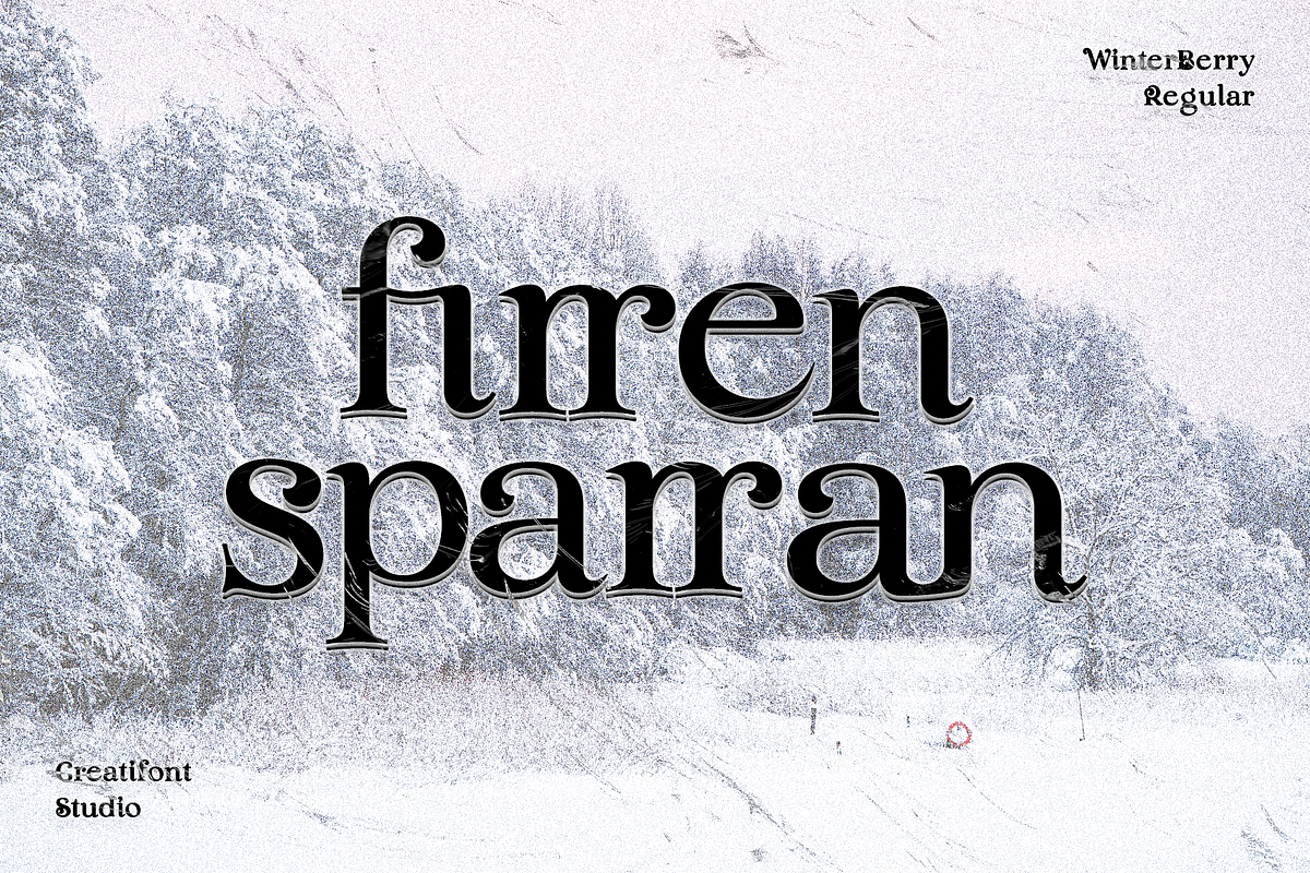 CF Winterberry - Christmas Serif, a Serif Font by Indotype Foundry (Photo 4 of 10)