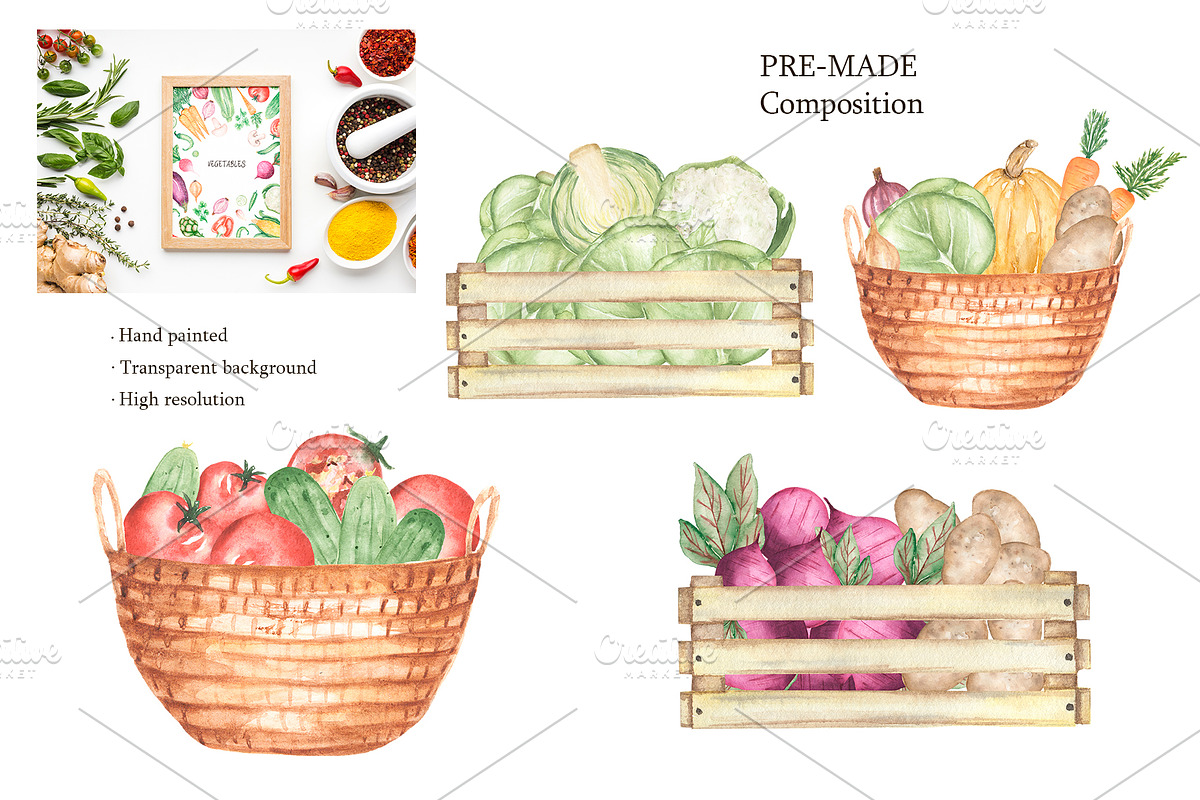 Watercolor Vegetables Collection, a Food Illustration by MayaNavits (Photo 7 of 12)