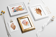 Seashells and fish, watercolor, an Animal Illustration by Hanna Hryharenka (Thumbnail 7 of 20)