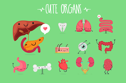 Cute Organs
