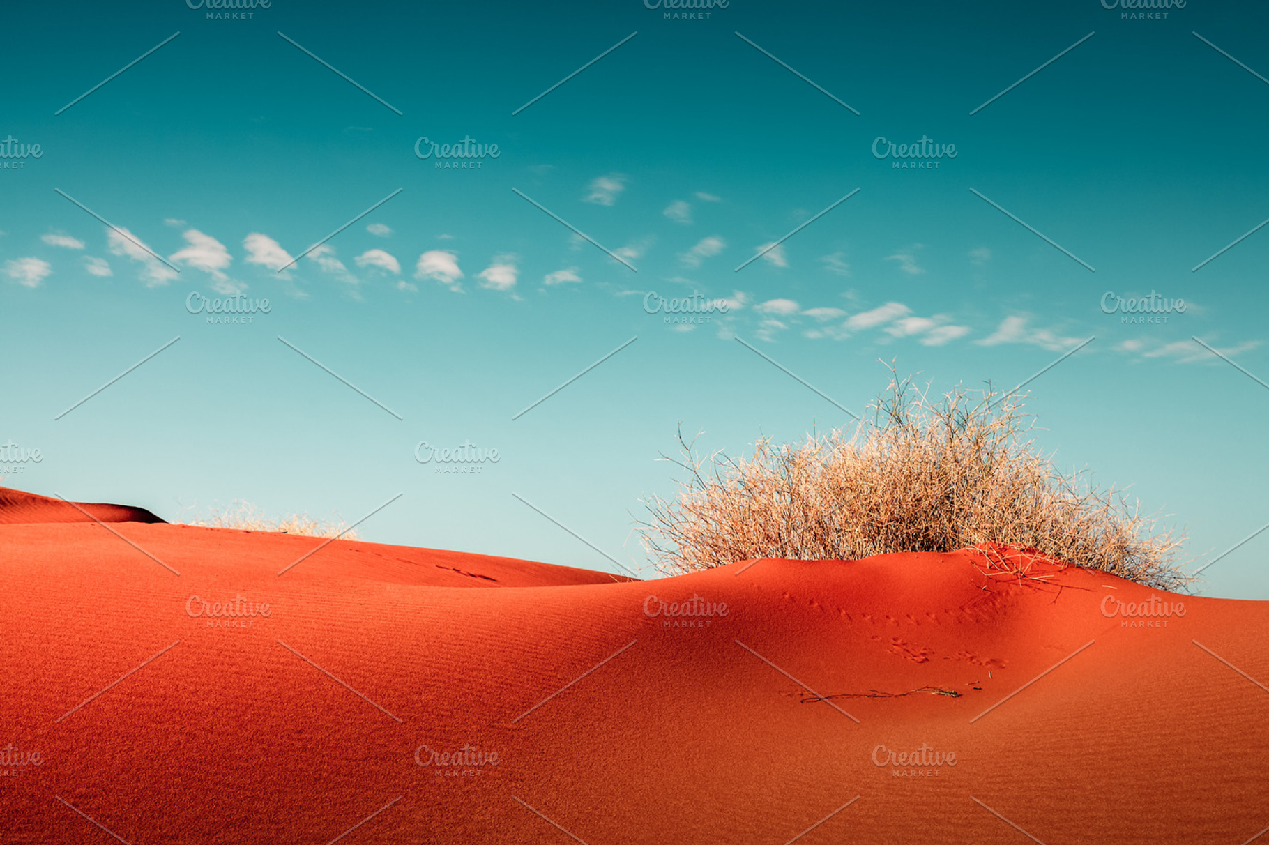 Desert Without A Storm...