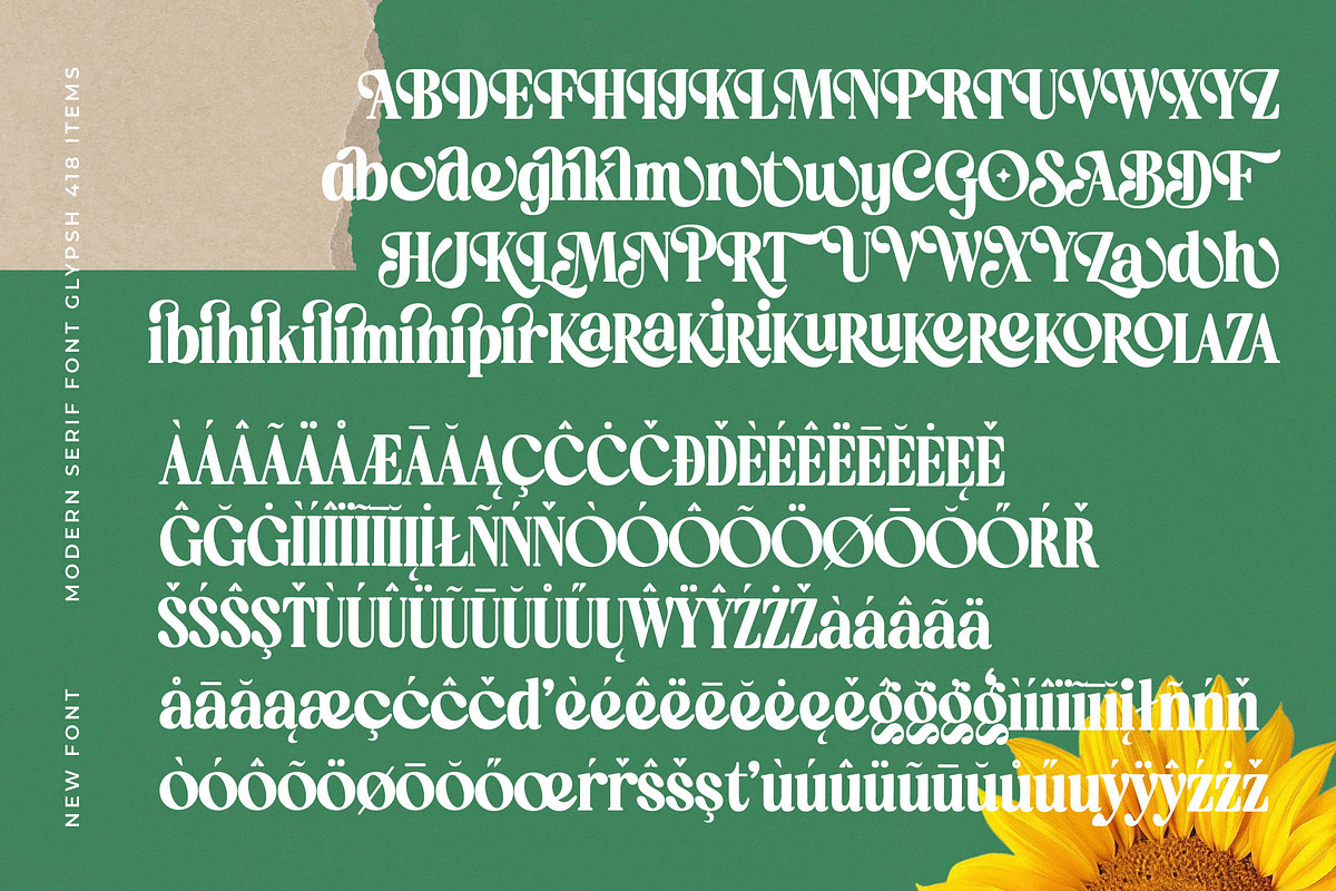 Ordinal Modern Display Serif Font, a Serif Font by timelesstype.co (Photo 19 of 20)