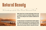 Balune Family Font, a Sans Serif Font by AuthenType (Thumbnail 5 of 10)