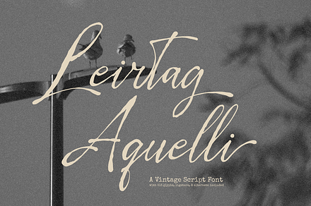 Leirtag Aquelli | Vintage Script, a Script Font by Denustudios