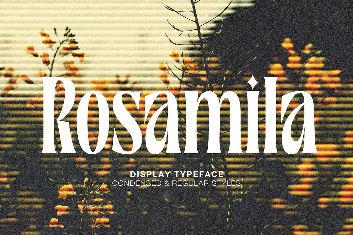 Rosamila Display, a Serif Font by Stripes Studio (Photo 1 of 11)
