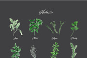 Watercolor Herb Collection, an Illustration by One and Only Paper (Thumbnail 6 of 7)