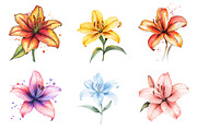 Lily Doodles Colorful PNG, an Illustration by SinaCreation (Thumbnail 4 of 5)