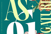 Magiction Modern Serif Display, a Serif Font by timelesstype.co (Thumbnail 13 of 20)