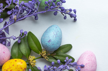 colorful easter eggs with flowers, a Holiday Photo by Arymer