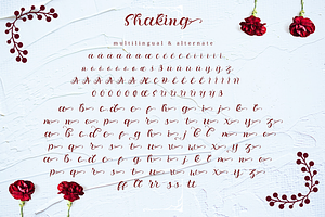 Shaking - Organic Calligraphy Font