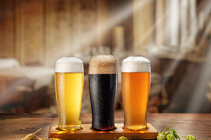 Set of different glasses of beer, a Food & Drink Photo by Volff