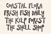 SeaFlower | Hand Drawn Surf Font, a Handwritten Font by Madeline ODonoghue Design (Thumbnail 2 of 12)