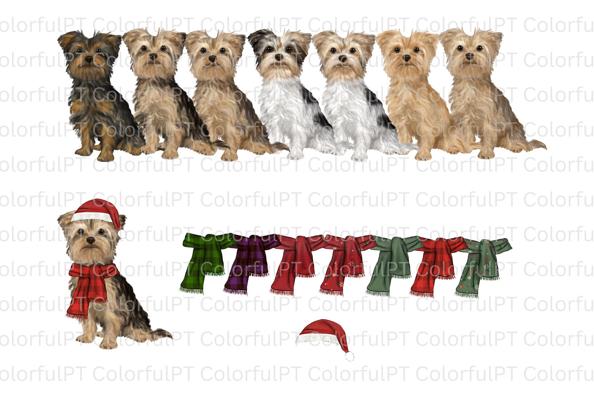 Christmas Yorkie Clipart, an Animal Illustration by ColorfulPT (Photo 2 of 5)