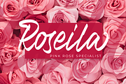 Modjola - Elegant Handbrush Typeface, a Font by hastatypestd (Thumbnail 5 of 9)