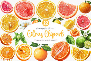 Lime Clipart, Watercolor Citrus PNG, an Illustration by SinaCreation