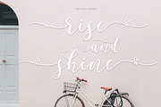 Delissia Script, a Script Font by Jhoel Design (Thumbnail 3 of 11)