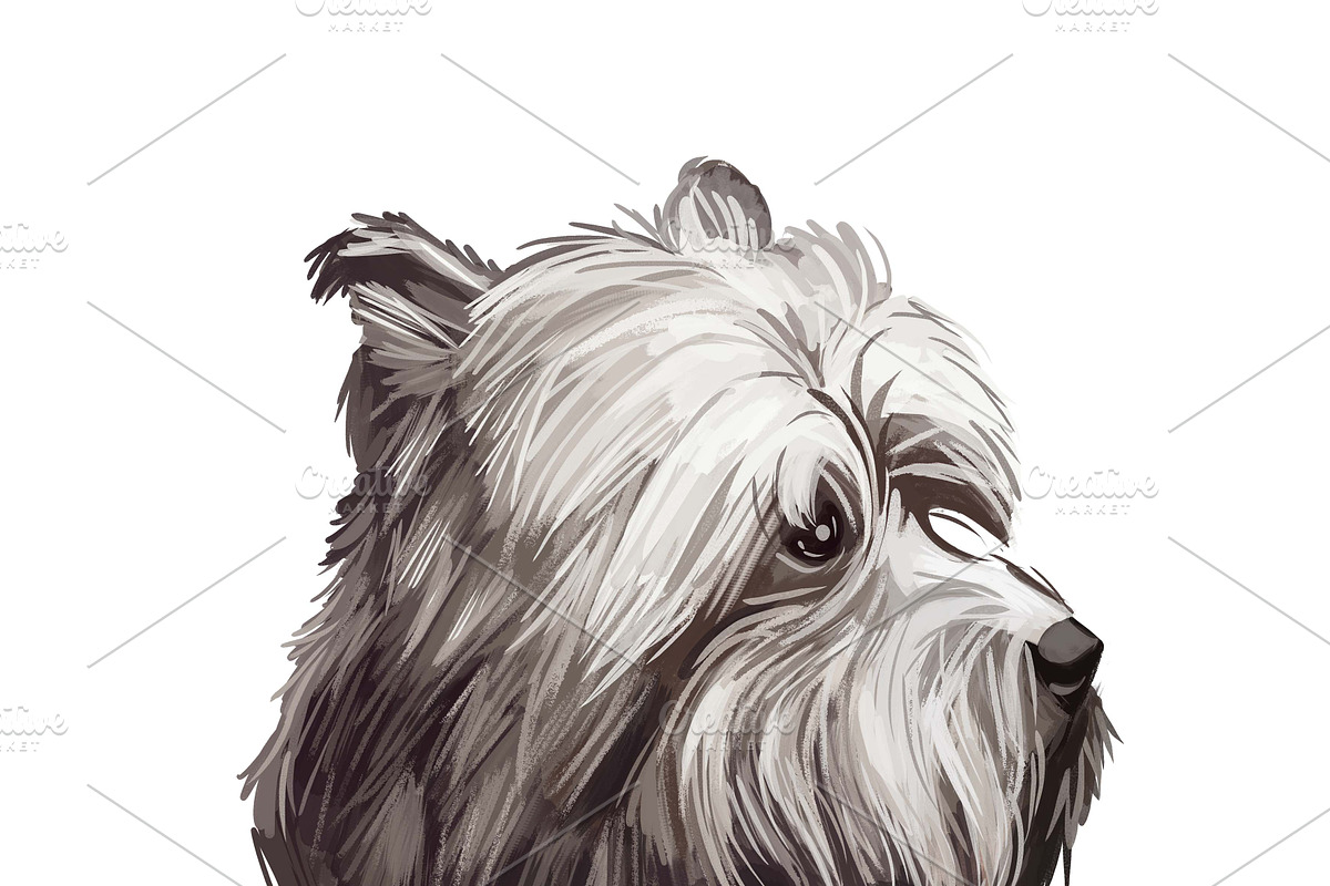 Dogs Cross Breeds 56 Animals Bundle, an Animal Illustration by Dneprstock (Photo 47 of 55)