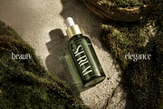 TRT Glanore Elegant Serif Sans Duo, a Sans Serif Font by truetype (Thumbnail 13 of 15)