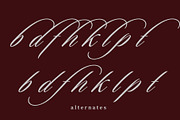 New Freya - Modern Classic Script, a Script Font by Andfonts (Thumbnail 4 of 5)