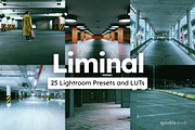 25 Liminal Lightroom Presets & LUTs, a Preset Add-On by SparkleStock (Thumbnail 1 of 11)