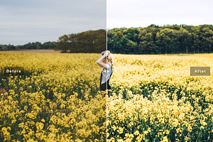 Canola Pro Lightroom Presets