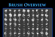 93 Fractal Decoration Brushes, a Brush Add-On by xresch (Thumbnail 2 of 11)