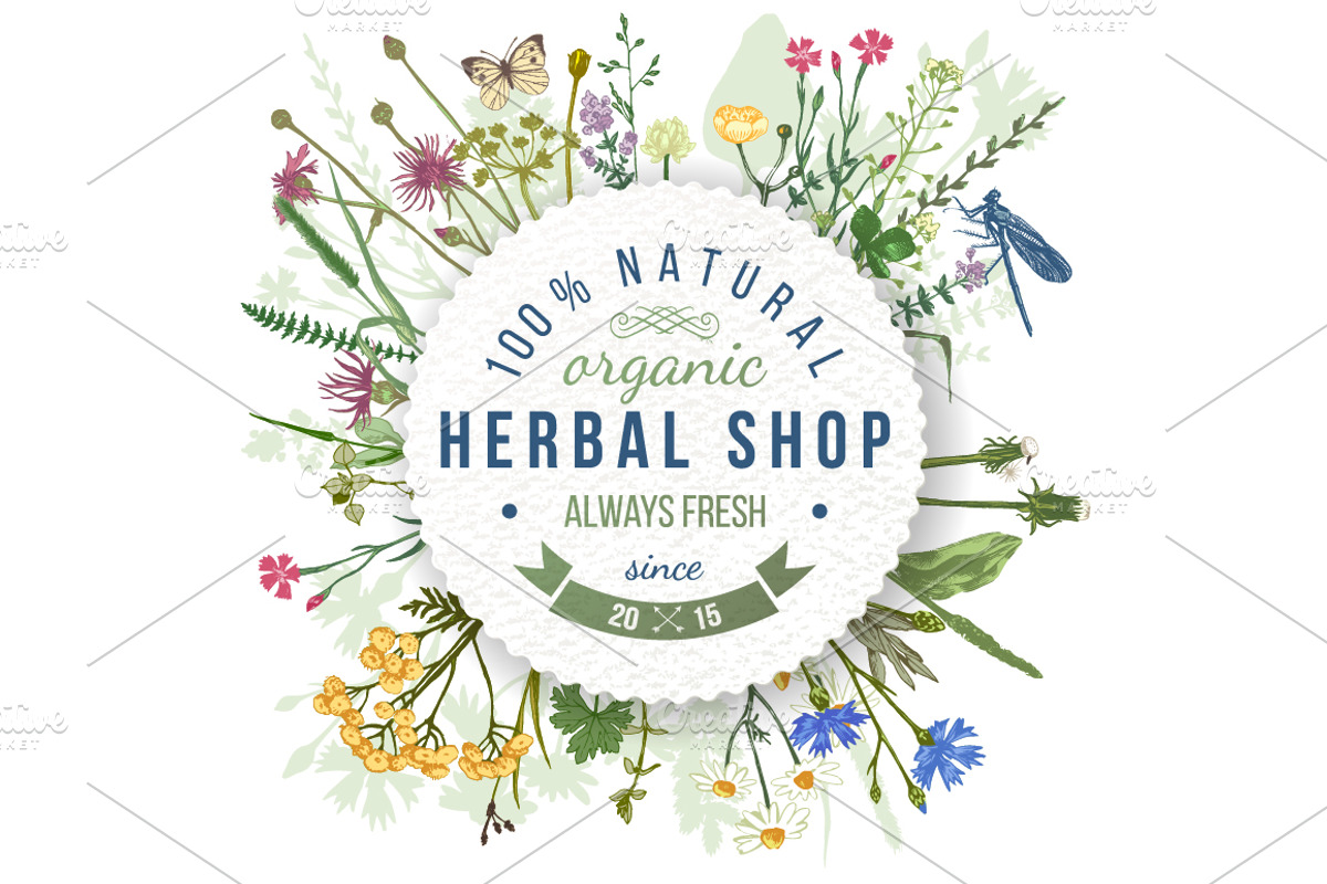 Meadow herbs and flowers, a Decorative Illustration by handsketched (Photo 2 of 7)