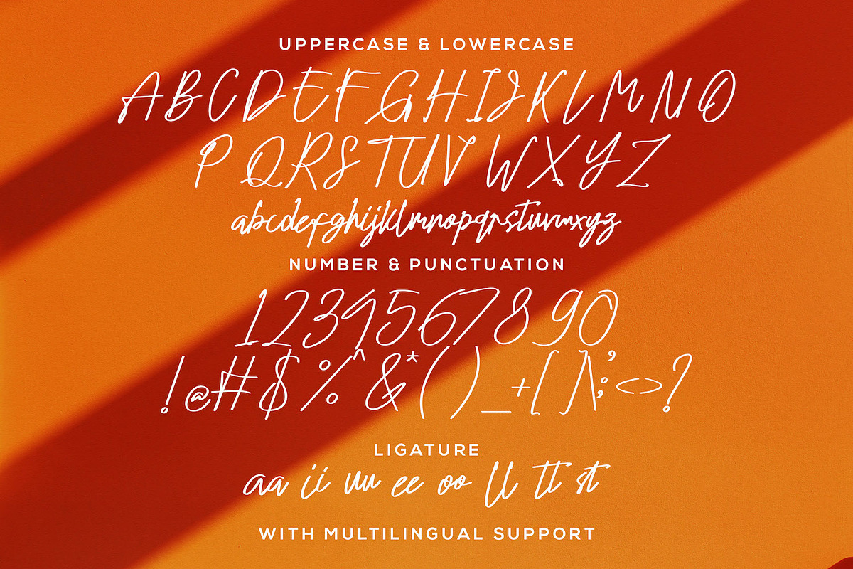 Oyange - Brush Calligraphy Font, a Script Font by StringLabs (Photo 10 of 12)
