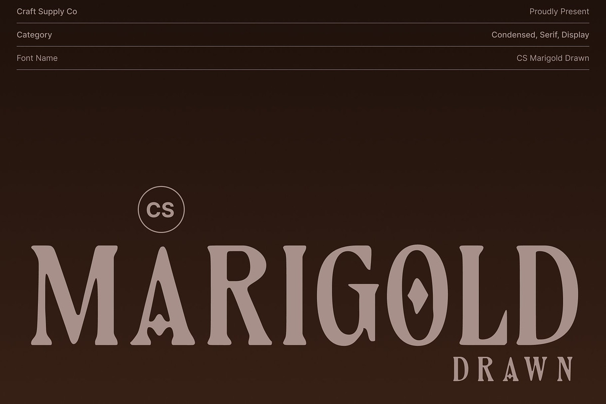 CS Marigold Drawn, a Serif Font by Craft Supply Co. (Photo 1 of 8)