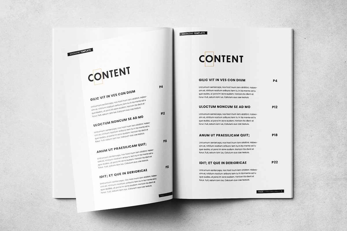 Magazine Layout