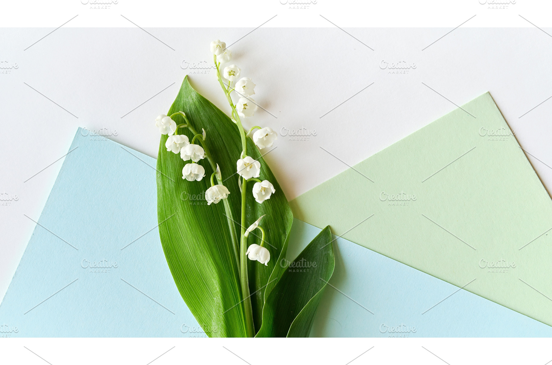 Lily of the valley flowers with, a Photo by tilialucida