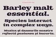DT Augustina Slab 5 Subfamily, a Slab Serif Font by Deveze Type Foundry (Thumbnail 14 of 31)