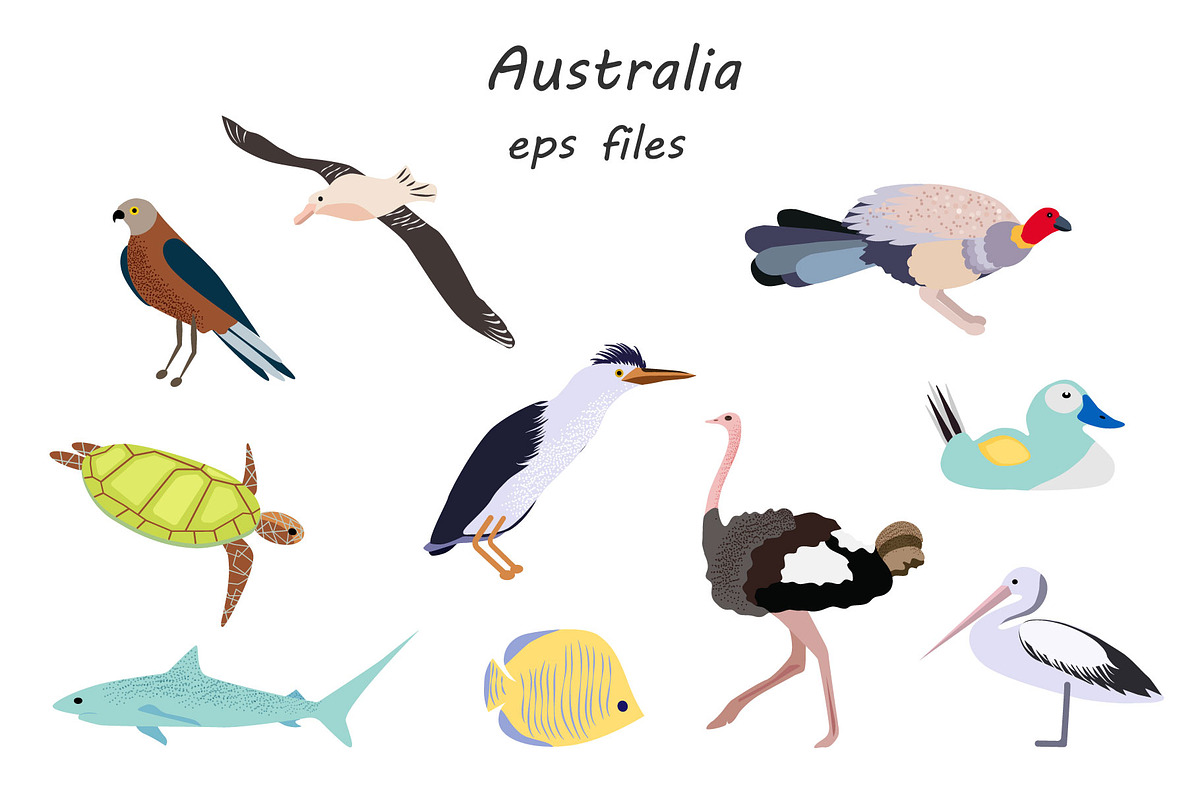 Australian Animals, an Animal Illustration by ViсkyArtDesign (Photo 4 of 10)