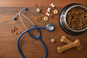 Healthy Dog Feeding Concept with Natural Treats, an Animal Photo by Davizro's Market