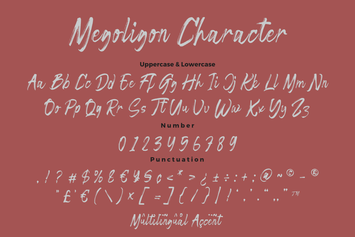 Megoligon – Brush Script Font, a Script Font by Bayuktx (Photo 9 of 9)
