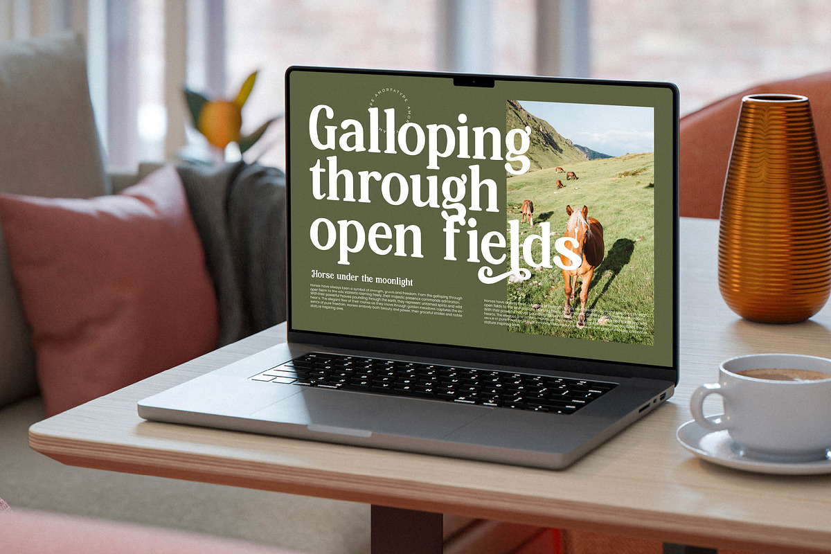 Hasbor Modern Alternate Serif Font, a Serif Font by AmorfaType (Photo 5 of 11)