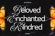 TAN-THE REVERIE, a Sans Serif Font by TanType (Thumbnail 6 of 11)