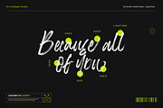 Brandon Matthews Handbrush Script, a Script Font by Creatype Studio (Thumbnail 3 of 9)