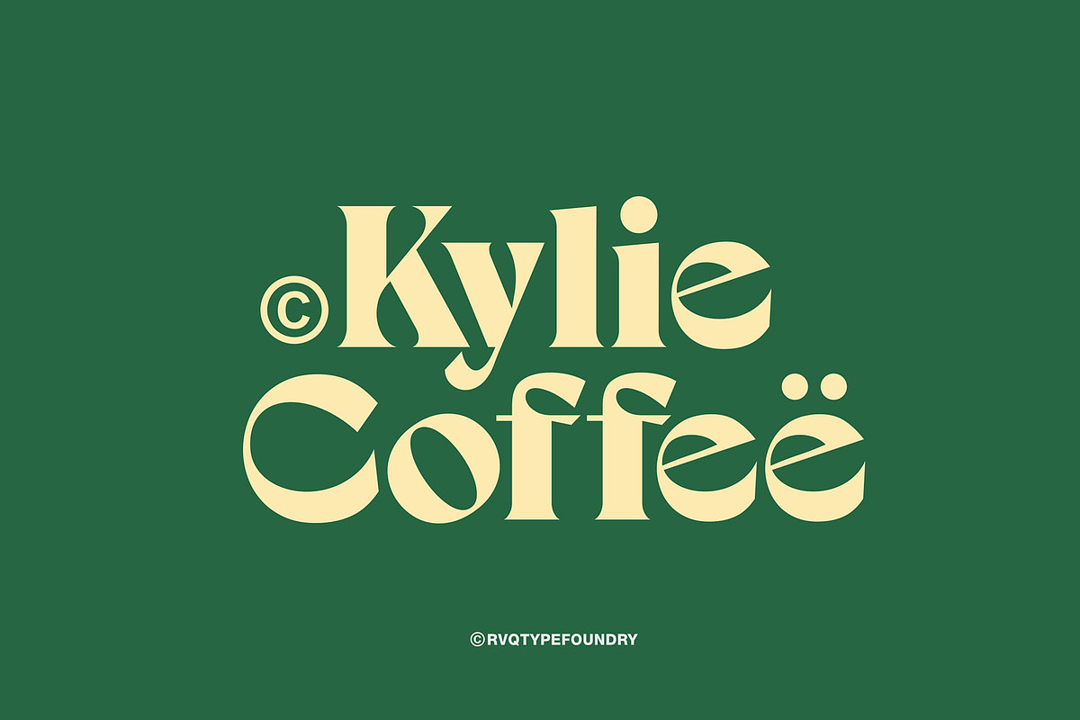 Yowa typeface, a Serif Font by Rvq Type Foundry (Photo 4 of 4)