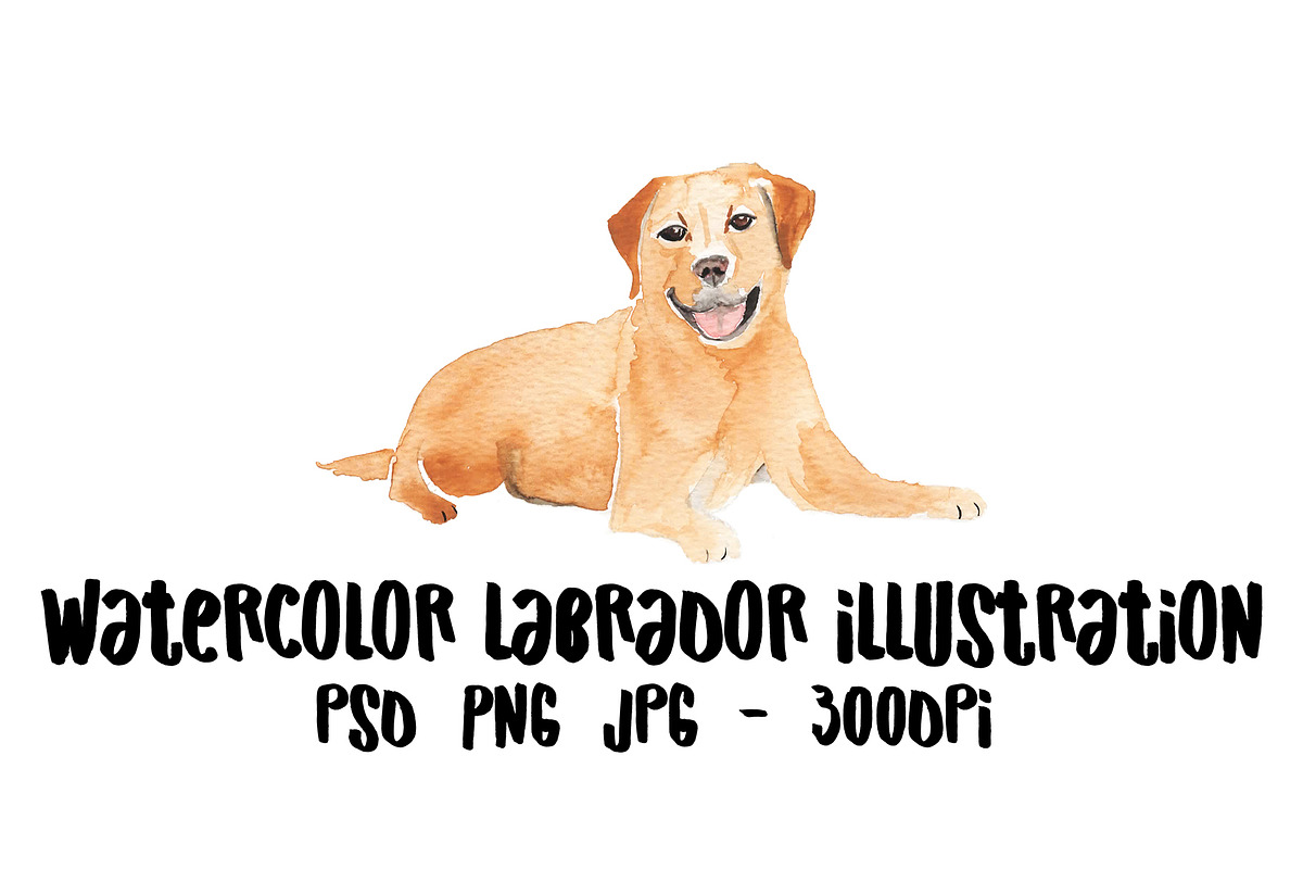 Watercolor Labrador Illustration, an Illustration by Foxery Digital (Photo 1 of 2)
