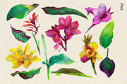 Tropical floral patterns set, a Pattern Graphic by emeraldthue (Thumbnail 15 of 28)