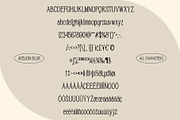 Avelion Blur, a Serif Font by Craft Supply Co. (Thumbnail 8 of 8)