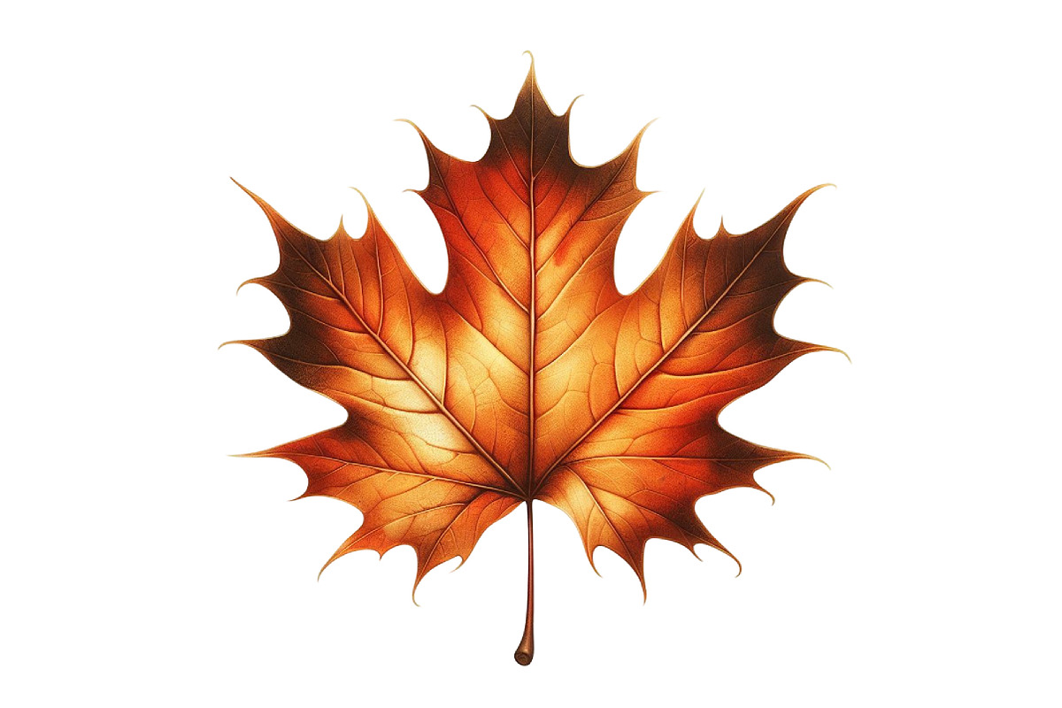 Cozy Caramel & White Fall Clipart, a Graphic by Designking (Photo 4 of 4)