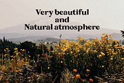 Backseat - Serif Typeface, a Serif Font by Brand Type (Thumbnail 5 of 8)