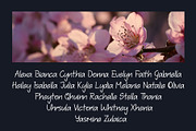 Deamor Handwritten Font, a Handwritten Font by Bilahstudio (Thumbnail 4 of 10)