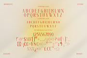 Glorando Modern Serif Font Display, a Serif Font by Storytype Studio (Thumbnail 13 of 15)
