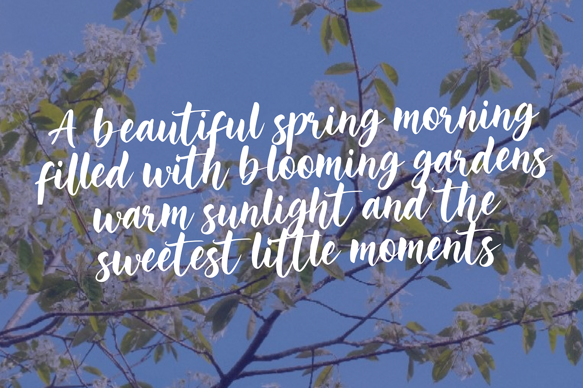 Maisson Zelora - Script font, a Script Font by Majelis Art (Photo 4 of 6)